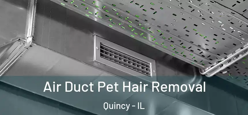  Air Duct Pet Hair Removal Quincy - IL