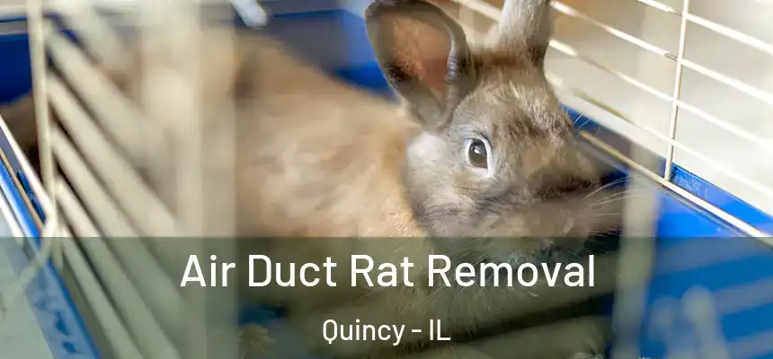 Air Duct Rat Removal Quincy - IL