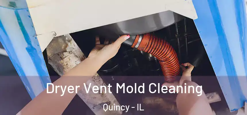 Dryer Vent Mold Cleaning Quincy - IL