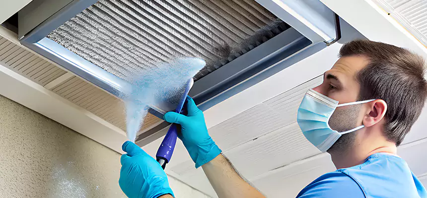 Proactive Dryer Vent & Auxiliary Duct Pollen Cleanup in Quincy, IL