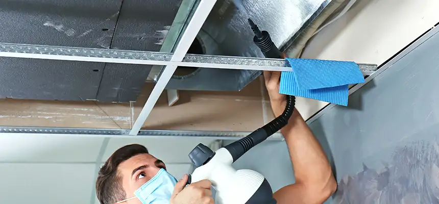 Our Air Duct Rodent Removal Services in Quincy, IL