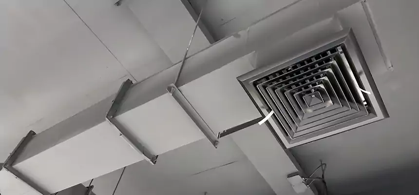 Our Rodent Droppings In Vents Services in Quincy, IL