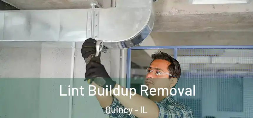 Lint Buildup Removal Quincy - IL