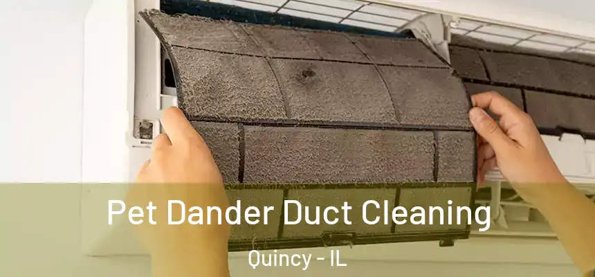 Pet Dander Duct Cleaning Quincy - IL