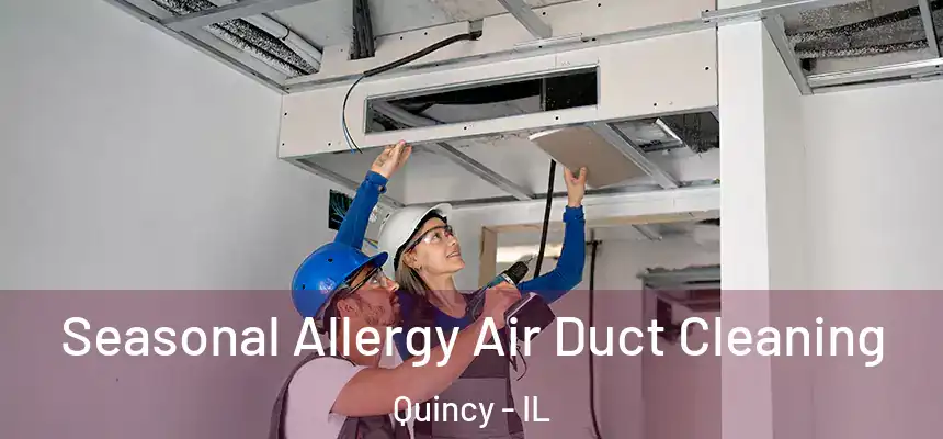  Seasonal Allergy Air Duct Cleaning Quincy - IL
