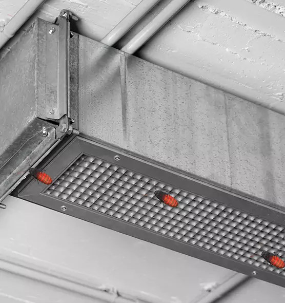 About Air Duct Cockroach Removal in Quincy, IL