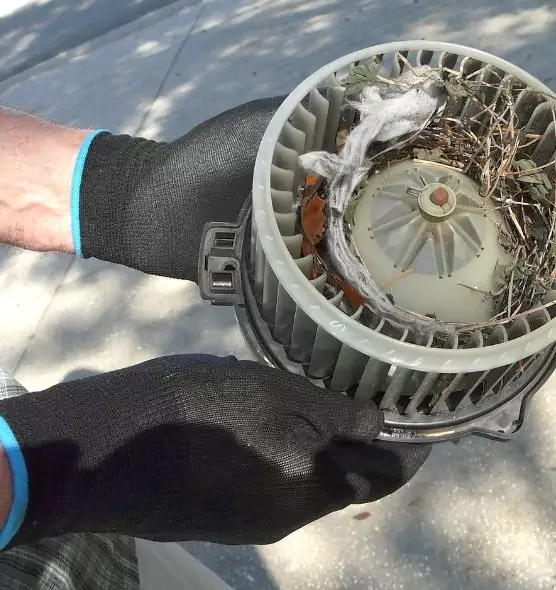 About Air Duct Mice Removal in Quincy, IL