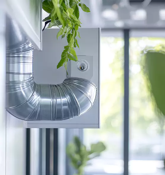 Professional Eco-Safe Dryer Vent Cleaning in Quincy, IL