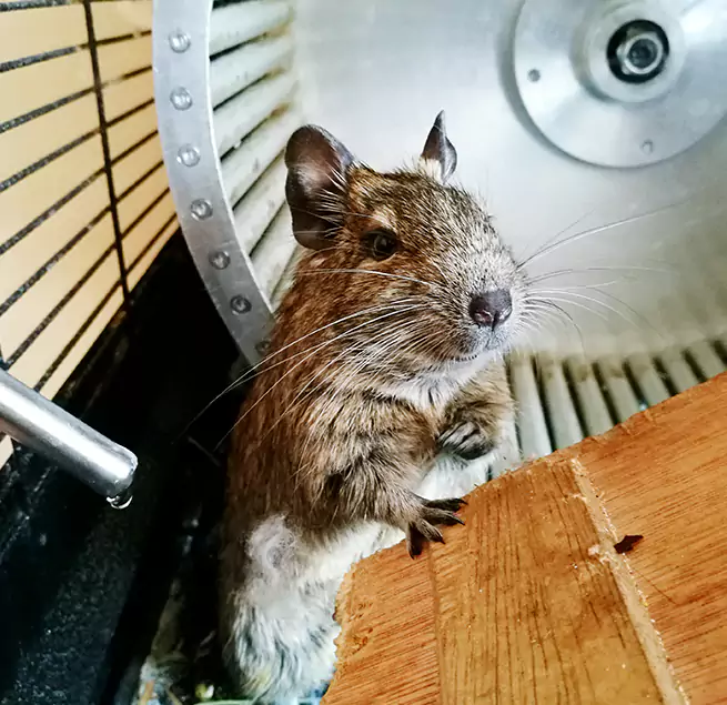 Why Homeowners & Businesses Trust Us Quincy, IL