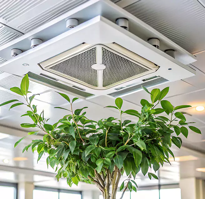 Why Homeowners & Businesses Trust Us in Quincy, IL?