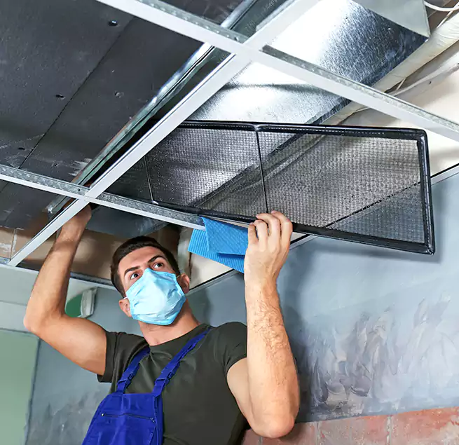 Why Homeowners Businesses Trust Us in Quincy, IL